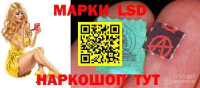 spice Абакан