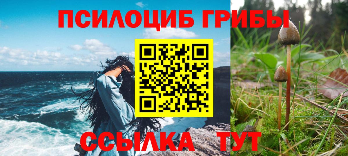 Псилоцибиновые грибы мухоморы  Вход с VPN  Алейск 
