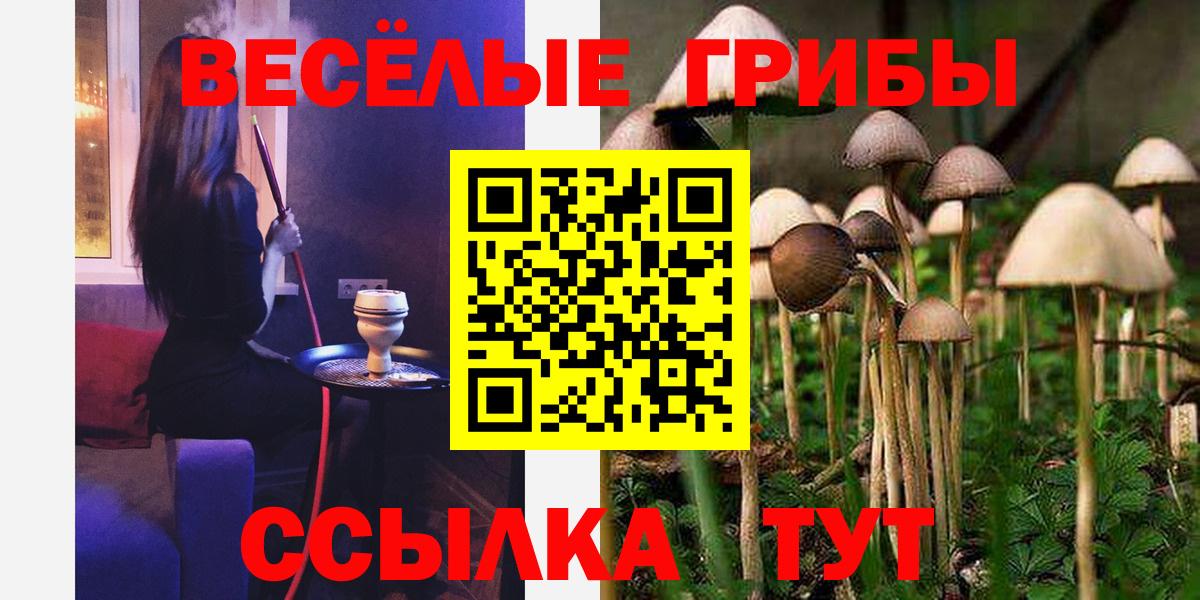 Галлюциногенные грибы Psilocybine cubensis Алейск