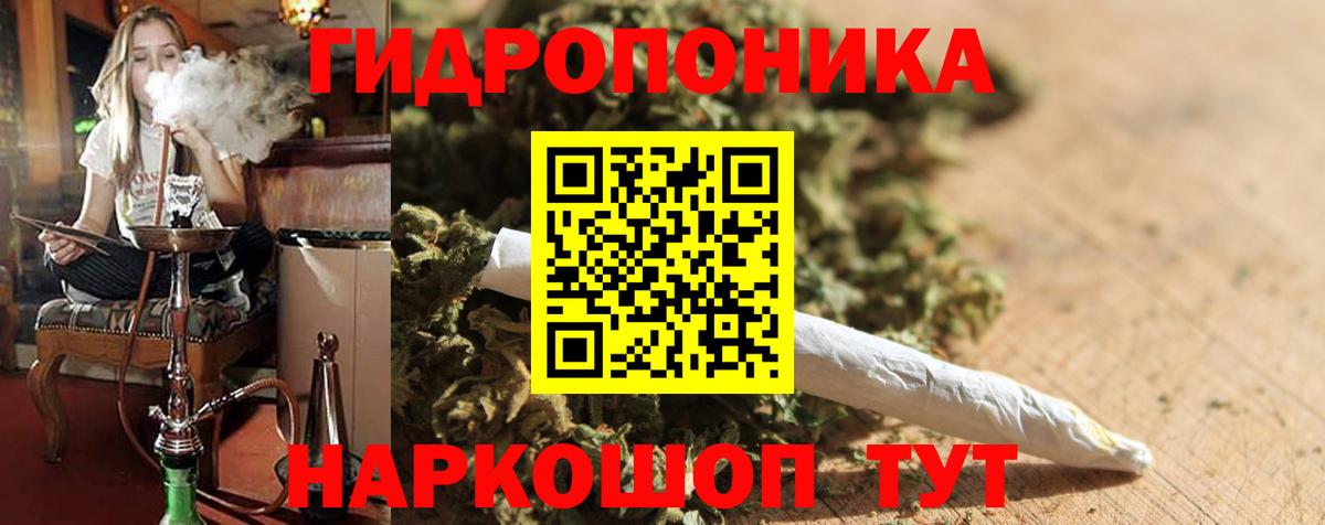 Бошки Шишки VHQ Алейск